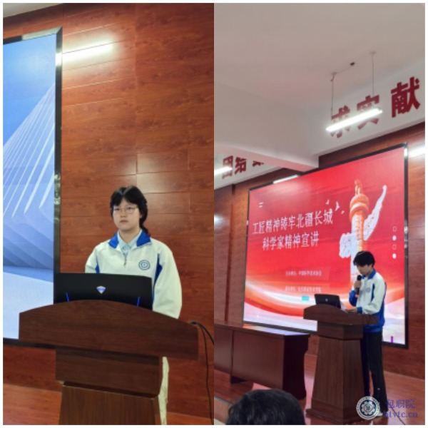 WPS拼图0.png
